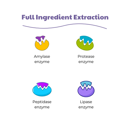 Flo Digestive Enzymes